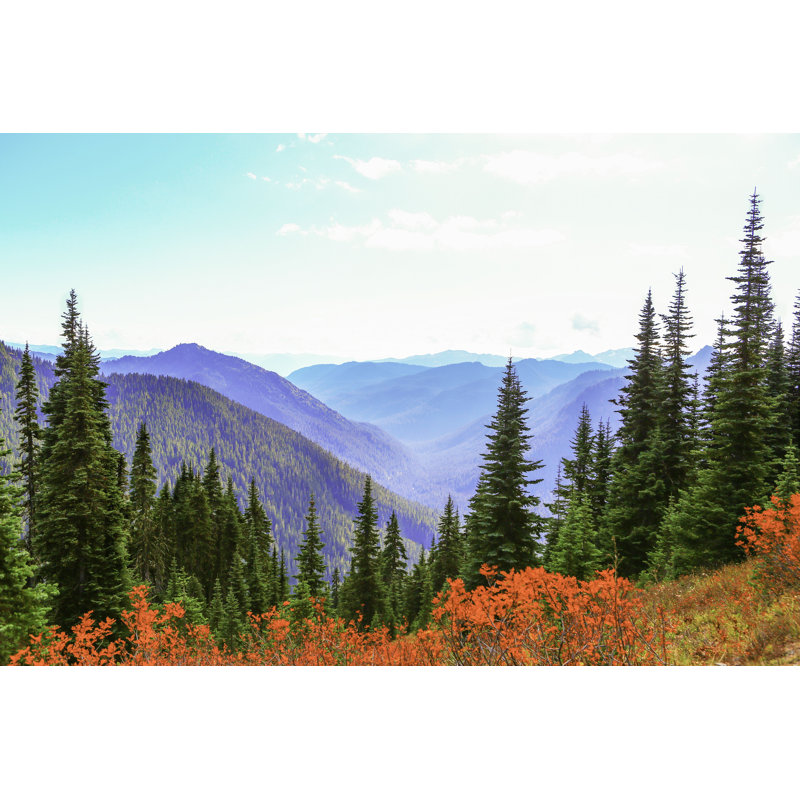 Alaxander Mount Rainier, Washington par - Photographie de toile tendue, H 12 po x l 18 po