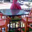 Photos des clients 1 de 1