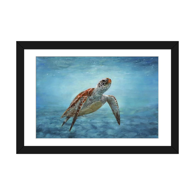 «Sea Turtle», impression sur toile, H 16 po x l 24 po x P 1 po, Cadre noir