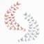 Butterflies Mix Wall Sticker