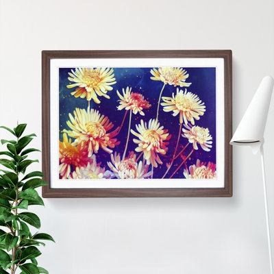 Vibrant Chrysanthemum Flowers - Framed Print