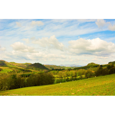 " Rural Landscape In Scotland "
