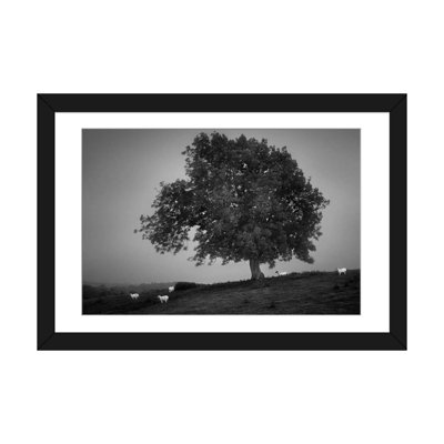 « soirée light i », reproduction de photo sur toile