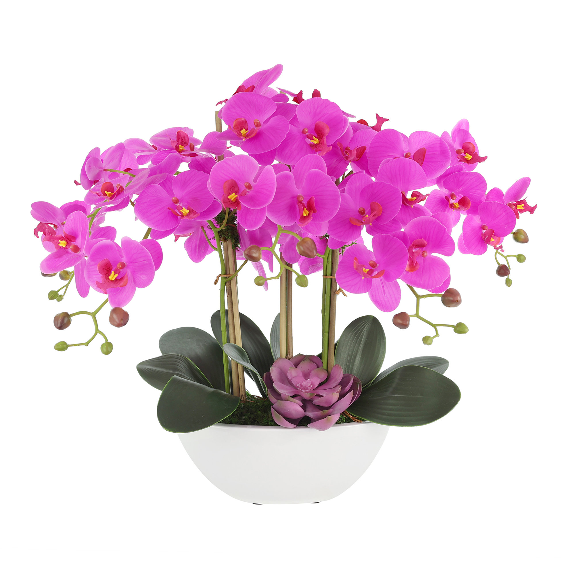 The Twillery Co.® Phalaenopsis Orchid Floral Arrangement in Pot ...