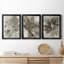 Birch Leaves I - Ensemble de 3 peintures sur toile encadrées-738860645-738860646