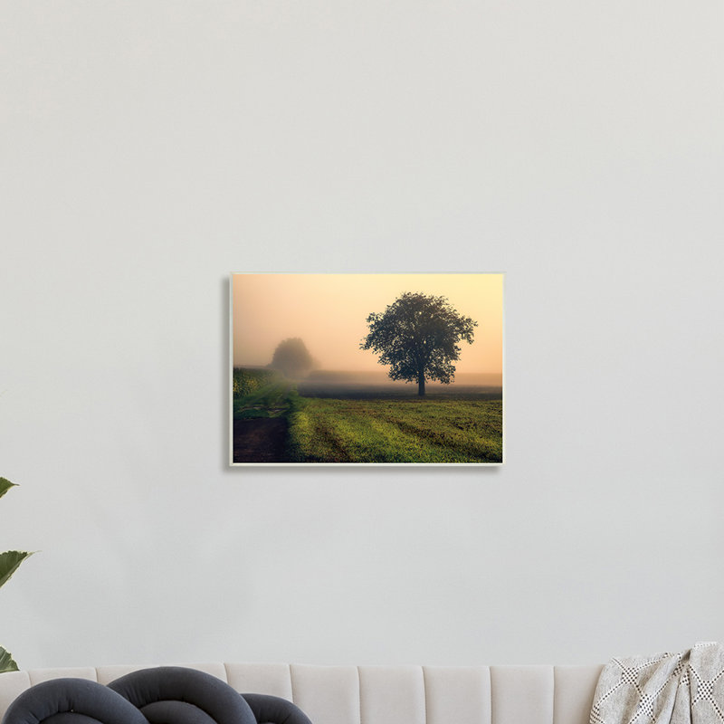 Brume matinale, lever du soleil, campagne, arbre, champ, H 10 po x l 15 po, Plaque murale