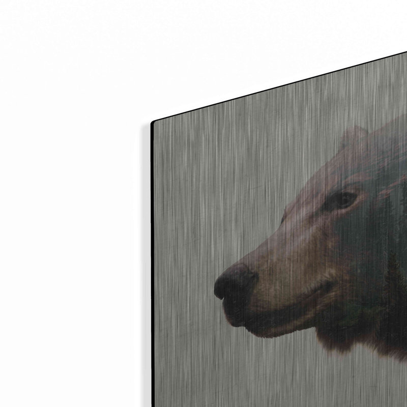 «Pacific Northwest Black Bear» par Davies Babies, H 12 po x l 16 po