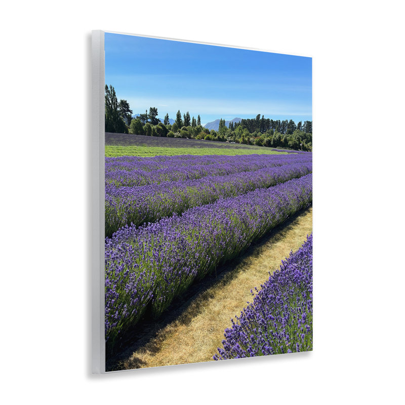 "Lavender Path", art mural sur bois par Kali Wilson