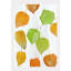 Chinese Lanterns Print-1126836197-1126836202