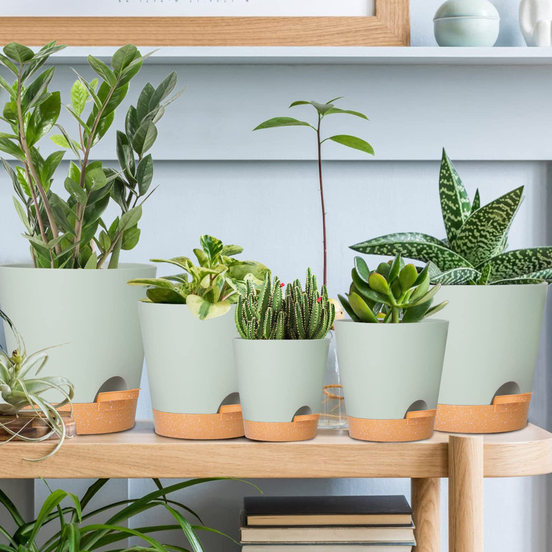 Plant Pots with Drainage Hole, Green