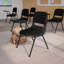Fauteuil ergonomique rembourré Westley