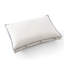 Coussins en plumes et duvet d'oie Pacific Coast, housse 100% coton biologique (taille standard, paquet de 2)-126090167-126090168
