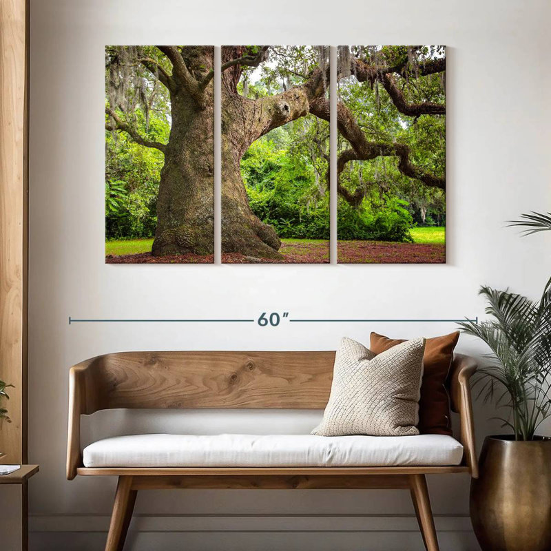 Harnek Live Oak Tree, 32" H x 50" W