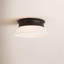 Dartmore 2 - Light Flush Mount-1046491023