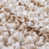 Universo Beige is out of stock