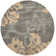 Chaffin Shag Performance Floral Rug