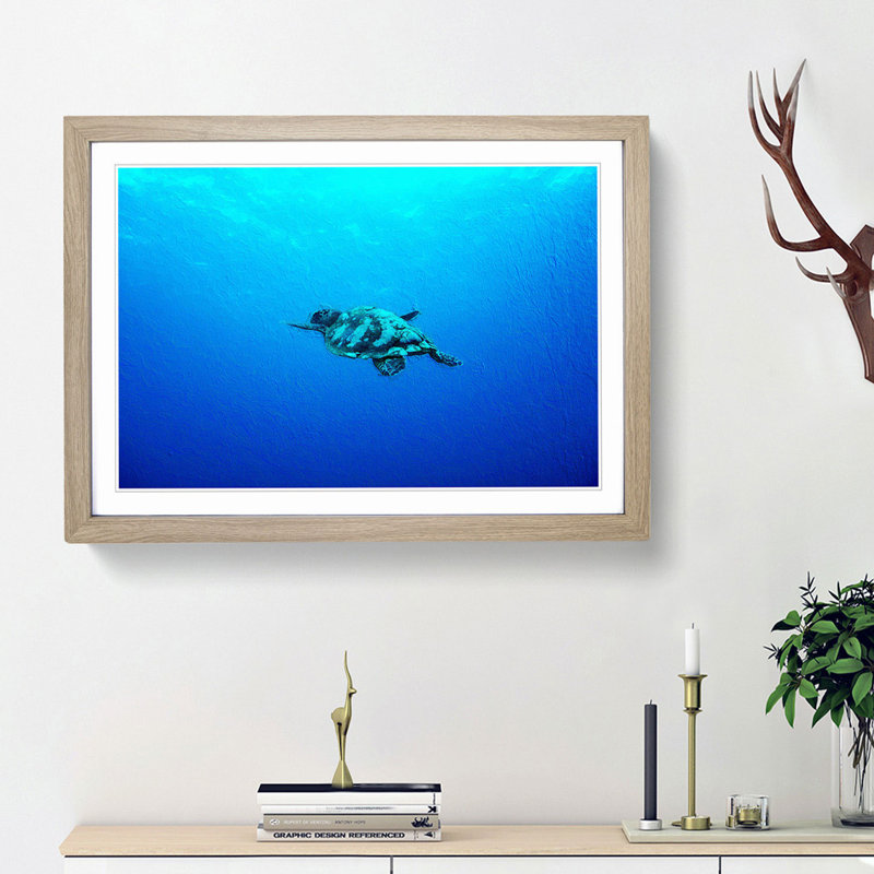 Swimming Turtle - Picture Frame Painting Print, 27cm H x 36cm W x 2cm D, Oak Framed
