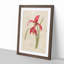 Amaryllis Flower by Pierre-Joseph Redoute - Single Picture Frame Painting-55544909-55544915