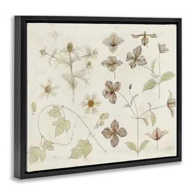 Cadre flottant Nature Botanical Study, design par Julie de Graag