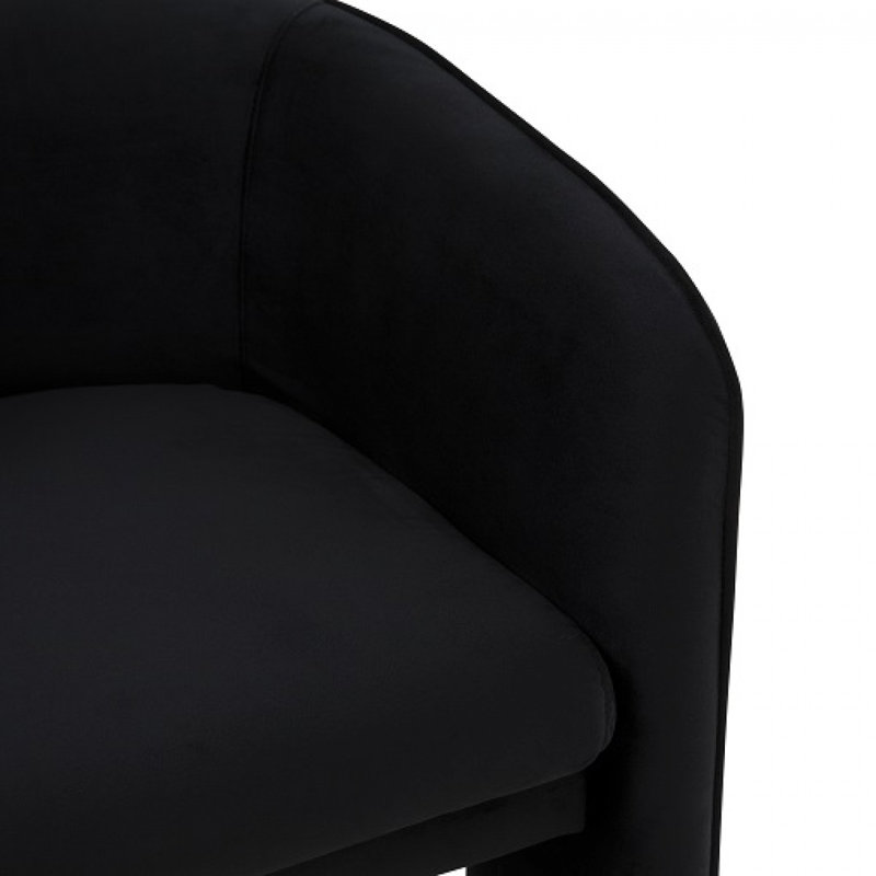 Fauteuil en velours 24 po Bartholomew, Noir, noir, noir, noir