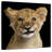 Brampt Baby Lion Head-109378097