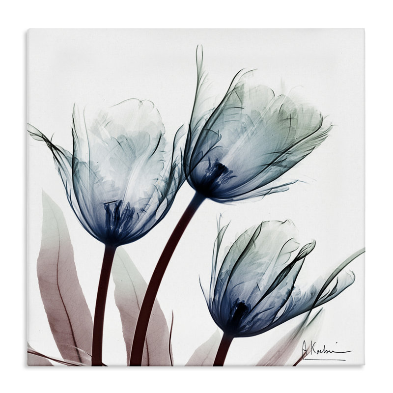 Toile translucide avec ampoules de tulipes, design par Albert Koetsier, H 30 po x l 30 po