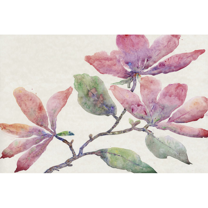UA CH Flowering Branch I by Tim OToole - Wrapped Canvas Painting, 30cm H x 46cm W x 3.8cm D
