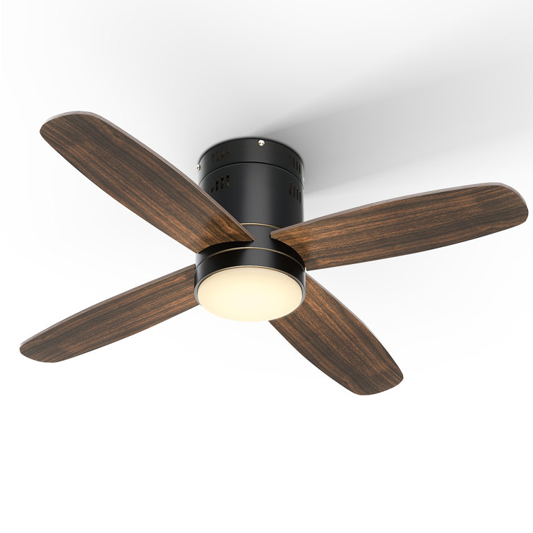 Feloice 36'' Ceiling Fan with LED Lights