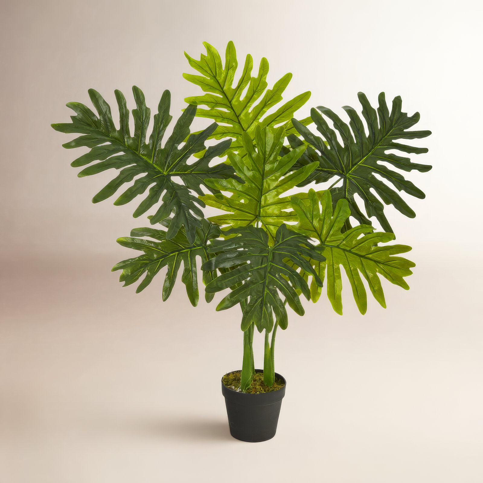 Faux Philodendron Plant in Nursery Pot, 36" H x 21" W x 17" D