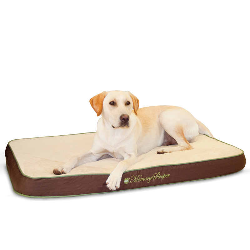 Coussin mémoire pour chien / lit pour chien classique, Moka, Petit