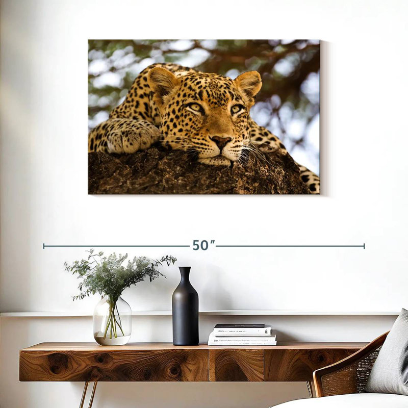 Brampt Leopard Looking For Prey, 24" H x 36" W