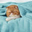 Couvertures douillettes et douillettes pour lit, canapé, canapé, voyage, camping-111074327-111074328