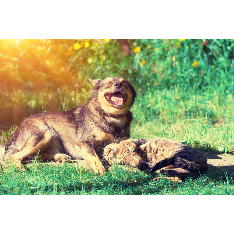 Dog And Cat Best Friends by Vvvita - Wrapped Canvas Print, 30cm H x 46cm W