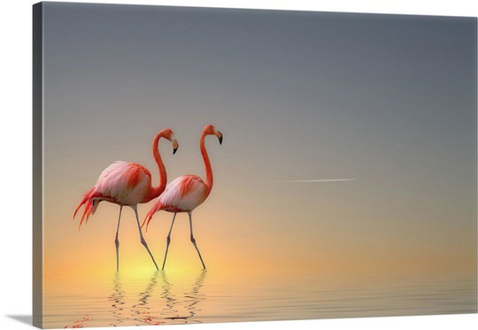 « serenity ii » par anna cseresnjes, reproduction de photo sur toile, H 16 po x l 24 po