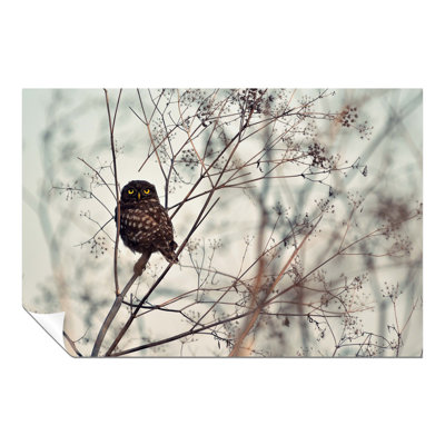 Owl In Winter - Wrapped Canvas Print