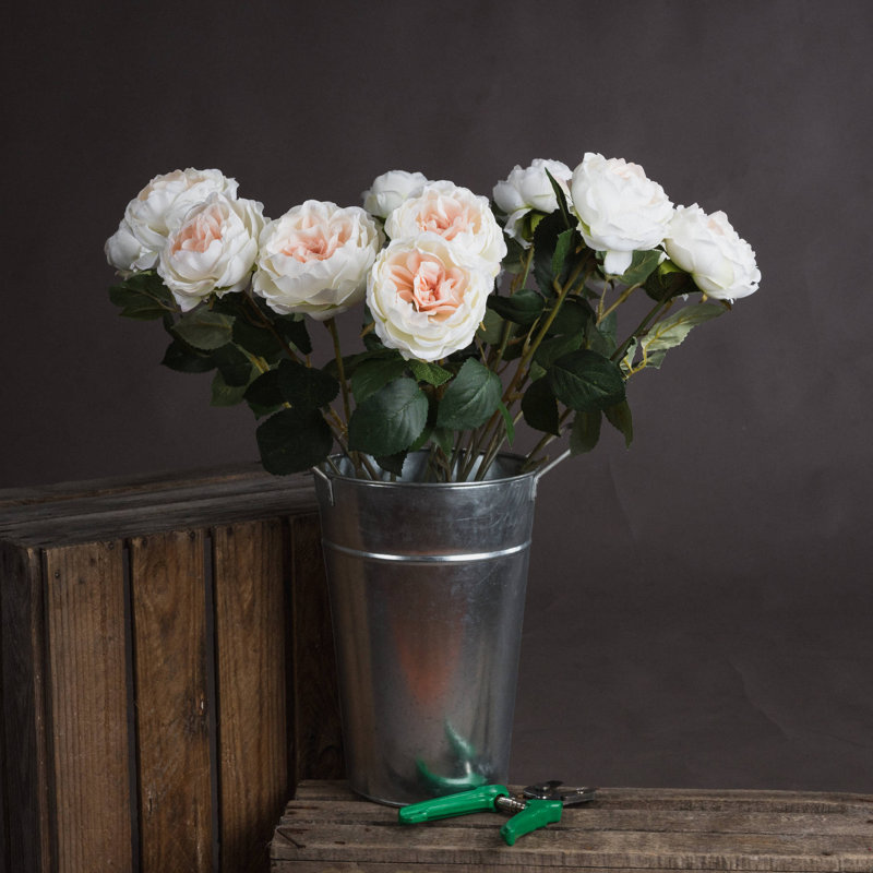 Anastasija Arrangement