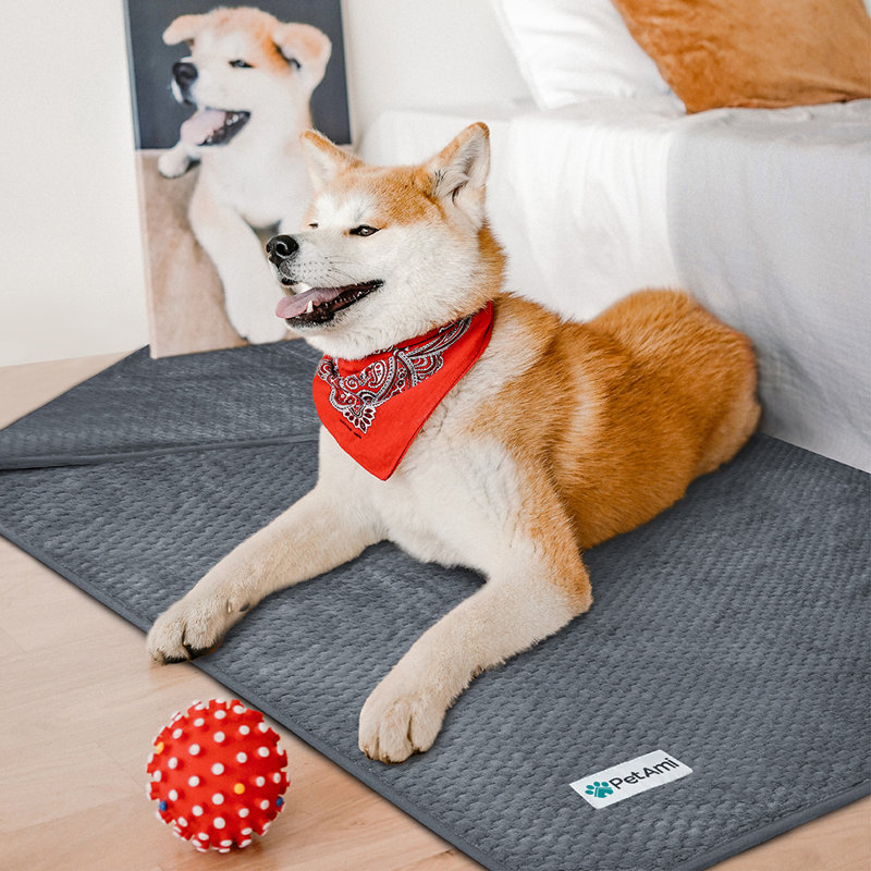 Large Charcoal Waterproof Fleece Dog Blanket