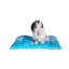 Tapis pour chien en velours doux-3848072-3848071