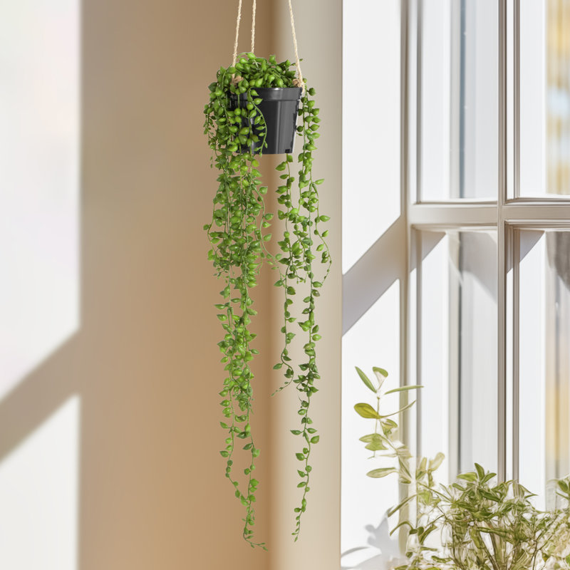 String Of Pearls Hanging Faux Succulent With Pot