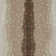 Imagine Nature's Expression Chital Sable Area Rug