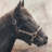 Gallopin the Brown Horse Tablecloth | Farm Animal Decor-1305638096