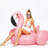 Giant Inflatable Flamingos