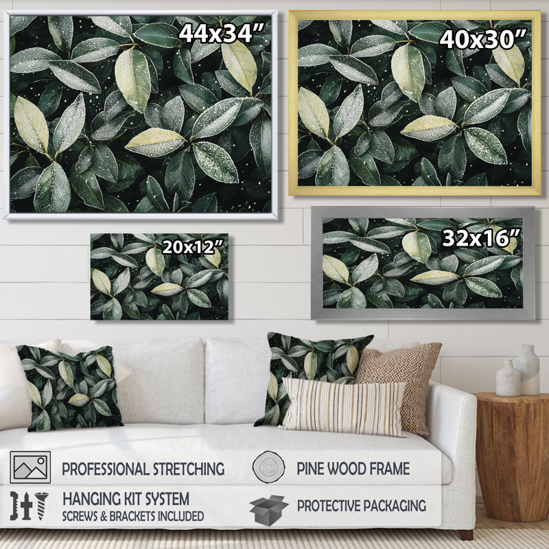 «Iqra Evergreen Leaves In Snow III» - feuilles, art mural grand, Reproduction encadrée d'une seule photo, H 30 po x l 40 po