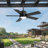 Cissline 42" Modern Black Indoor/Outdoor Waterproof Ceiling Fan with Led Light and Remote Control for Patio/Pergola/Gazebo