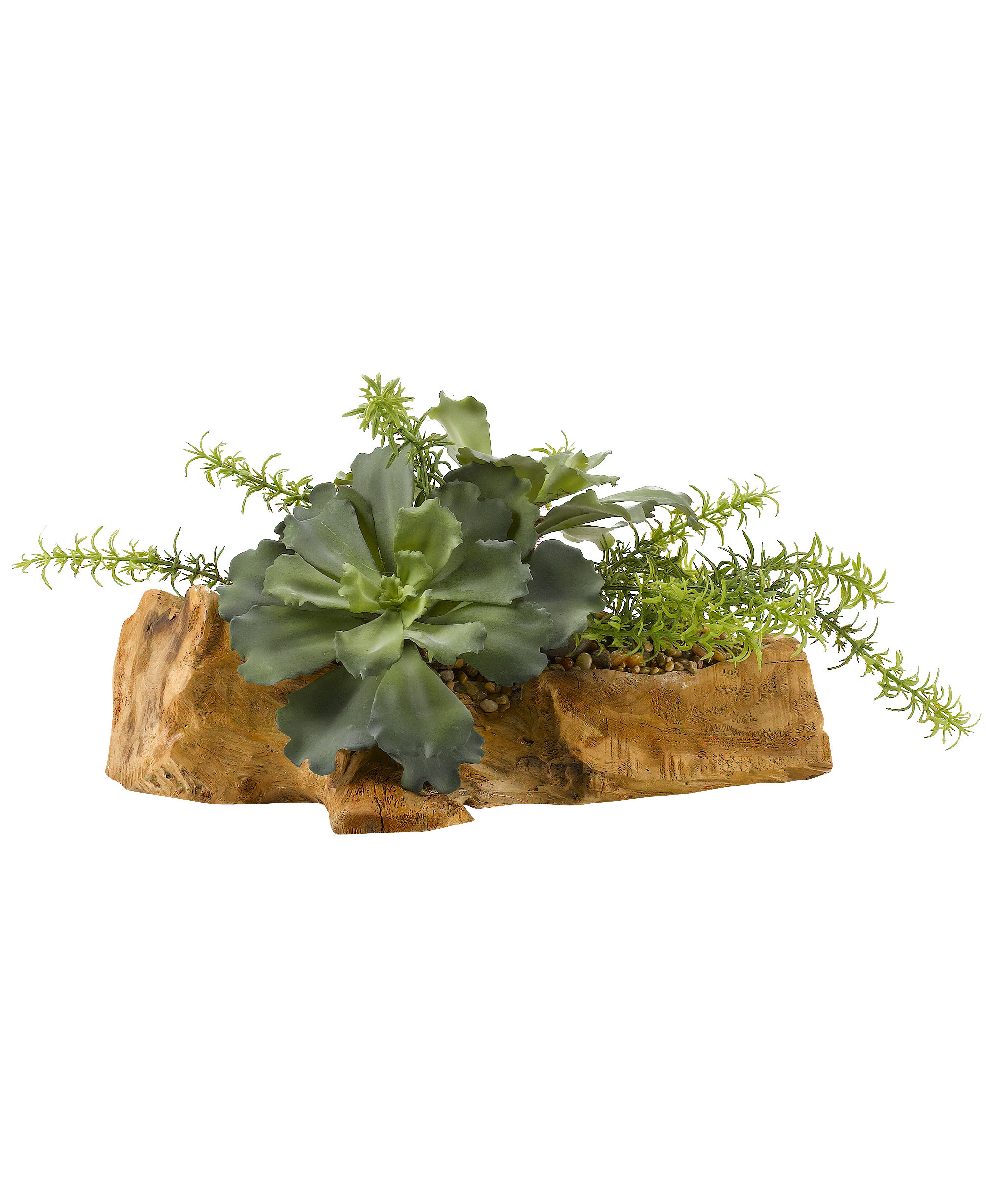 World Menagerie Large Ruffled Echeveria and Rosemary | Wayfair