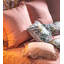 Peach 100% Cotton Reversible 3 Piece Duvet Cover Set