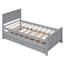 Lit plateforme polyvalent avec lit gigogne et tiroirs, idéal pour les invités et le rangement personnel dans n'importe quelle chambre-1941589206