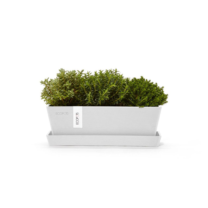 Ensemble de 2 pots à fleurs, Gris pur