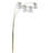 Metal Floor Lamp