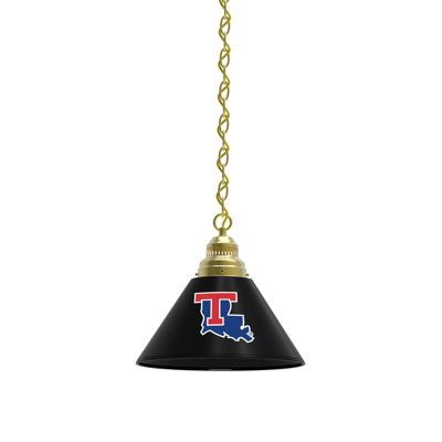 1 - Light Single Pendant